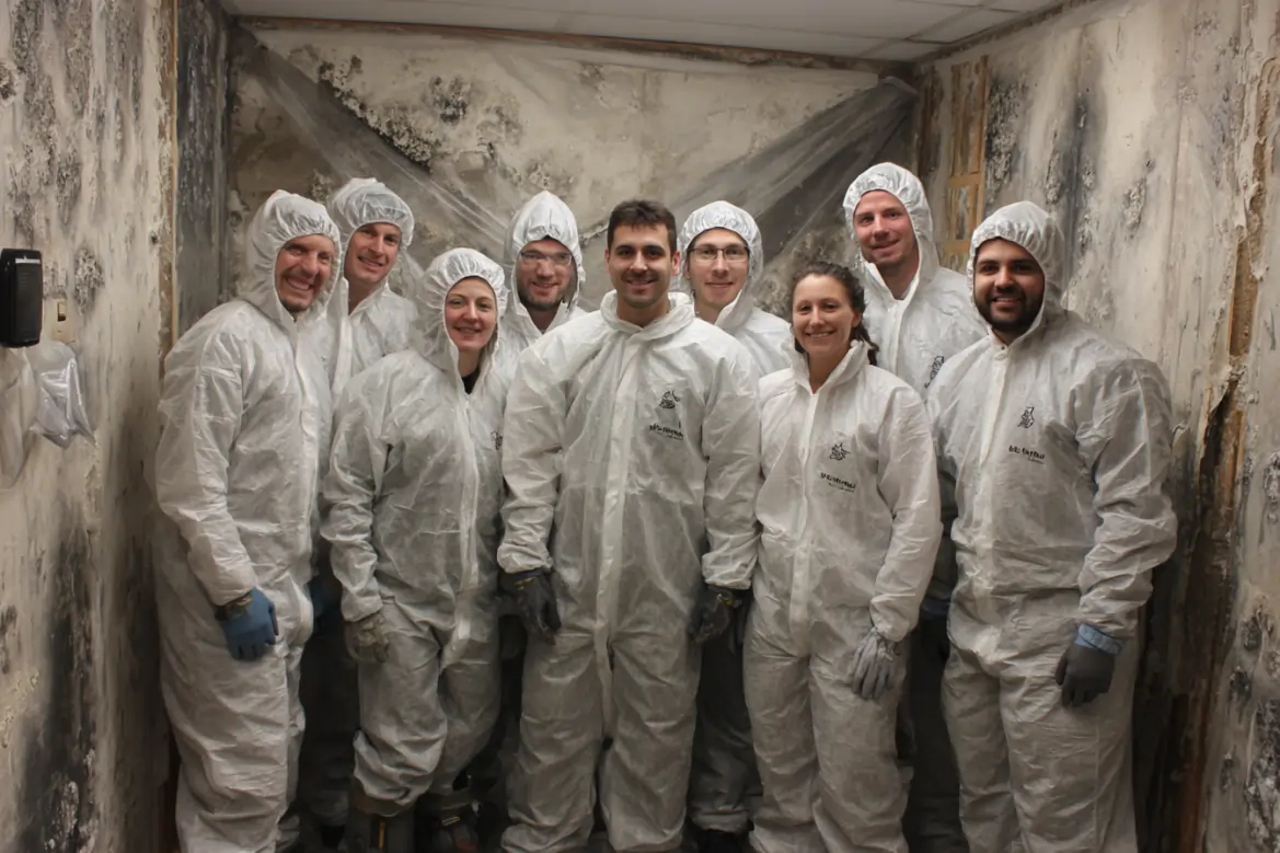 about Titusville Mold Removal